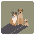 Three different dogs Royalty Free Stock Photo