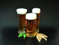 Three different glasses of light beer, ears of barley and hops stand against a black background Royalty Free Stock Photo