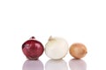 Three different kinds of onions. Royalty Free Stock Photo