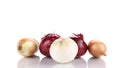 Three different kinds of onions. Royalty Free Stock Photo