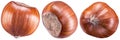 Three different side view of hazelnut or filbert. Set of nuts.