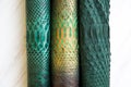 Three different tones of trendy green painted snake python skin surface Royalty Free Stock Photo