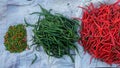 Three different types of chilies Royalty Free Stock Photo