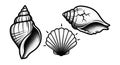 Nautical Shell Trio - Vintage Tattoo Style Illustrations Royalty Free Stock Photo