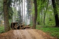 Three differently sized jumps at a bike park. Skills poligon or track in a forest, for a fresh mountainbiker to learn jumping from