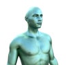 Three dimensional model. Chameleon green male torso. Royalty Free Stock Photo