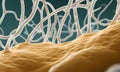 Three-dimensional model of nerve cells