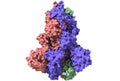 Three-dimensional structure of the SARS-CoV-2 spike glycoprotein