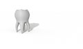 Three dimensional tooth model made for health Royalty Free Stock Photo
