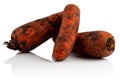 Three dirty raw carrots