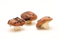 Three dirty, unpeeled standing on tube Suillus mushrooms isolated on a white background. Selective focus