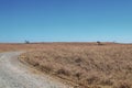 Three distant oil or gas well pumps on prairie grassland with curving gravel road running through it