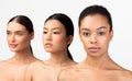 Three Diverse Young Women Posing On White Background, Studio Shot