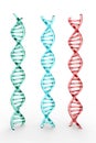 Three dna structures on white background