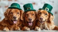 Three dogs in green leprechaun hats