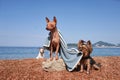 Yorkshire Terrier and two American Hairless Terriers against a serene seascape