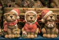 Three dogs with santa hat at the traditional christmas market of Bozen