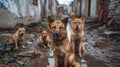 three dogs sit in muddy water next to a bunch of tires