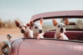 Three dogs sitting in an automobile. AI Generated Royalty Free Stock Photo