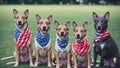 Three Dogs Wearing Bandas Royalty Free Stock Photo