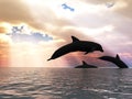 Three dolphin and fantastic sky