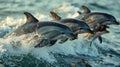 Three Dolphins Jumping Out of the Water at Sunset Royalty Free Stock Photo