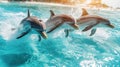 Three Dolphins Leap Out of the Water Royalty Free Stock Photo