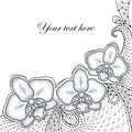 Three dotted moth Orchid or Phalaenopsis with decorative lace in black on white background.