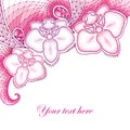 Three dotted moth Orchid or Phalaenopsis with decorative lace in shades of pink on white background.