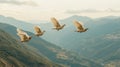 Three doves flying over mountain valley Royalty Free Stock Photo