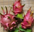 THREE DRAGON FRUIT Royalty Free Stock Photo