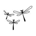 three dragonfly - vector illustration sketch hand drawn with black lines, isolated on white background