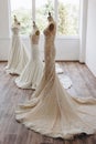 Three dresses is standing in designer's studio