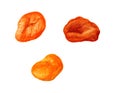 Three dried apricots Royalty Free Stock Photo