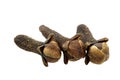 Three dried cloves