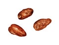 Three dried dates