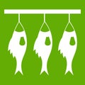 Three dried fish hanging on a rope icon green