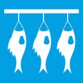 Three dried fish hanging on a rope icon white