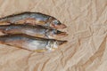 Three dried fish on parchment paper. Selective focus. Copy space Royalty Free Stock Photo