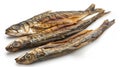 Three dried fish on white surface Royalty Free Stock Photo