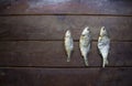 Three of dried fish Royalty Free Stock Photo