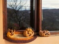 Three dried pumpkin for Halloween