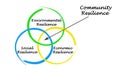 Drivers of Community Resilience