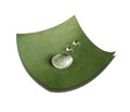 Three drops on green technological waterproof and breathable fabric close-up isolated on white background Royalty Free Stock Photo