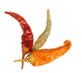 Three dry chilli-pepper Royalty Free Stock Photo