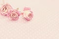 Three dry delicate pink rosebud on a light background Royalty Free Stock Photo