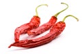 Three dry red chilly peppers Royalty Free Stock Photo