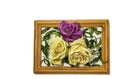 Three dry roses with leaves, two white roses, one pink rose, inside a wooden frame Royalty Free Stock Photo