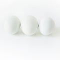 Three duck eggs. Conceptual image