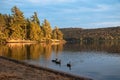 Ducks at dusk on a peaceful lake